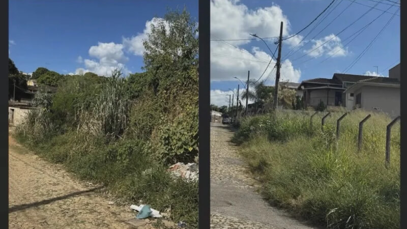 "Limpeza de lotes não é responsabilidade da Prefeitura", diz vereador de Matozinhos